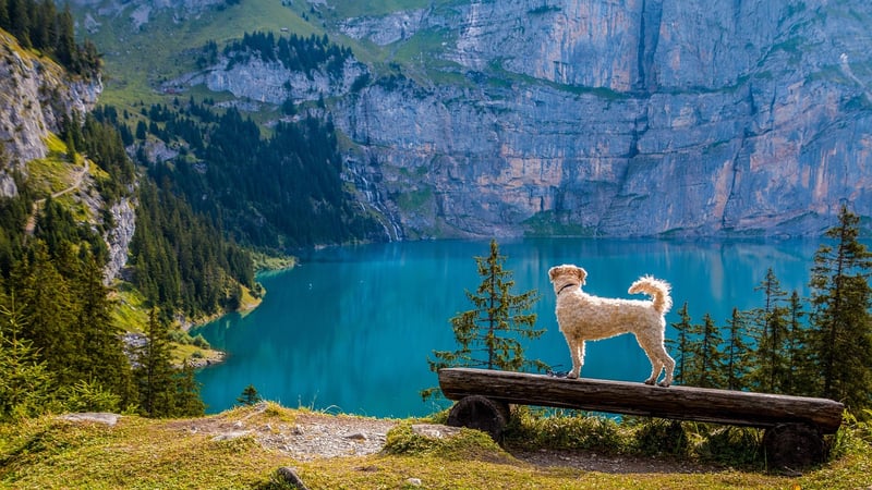 Hiking by the Lake